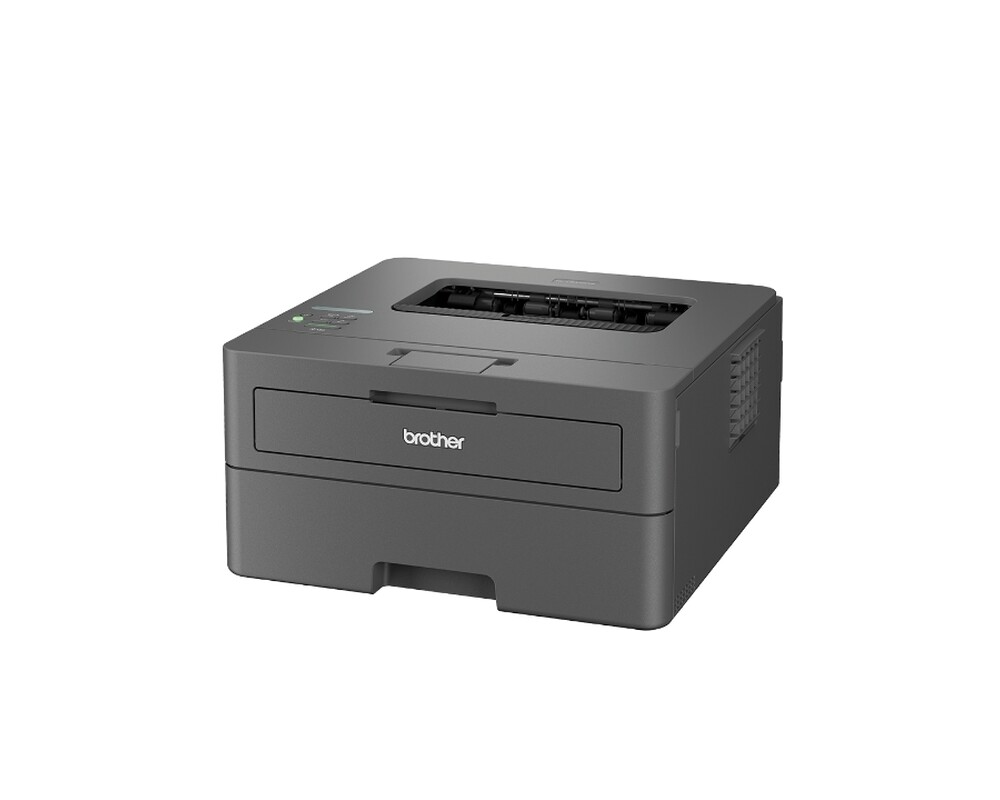 Принтер Brother HL-L2442DWYJ1 Laser Printer 4