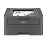 <span>Принтер</span> Brother HL-L2442DWYJ1 Laser Printer <span class='catalog-num-in-name'>HLL2442DWYJ1</span> - 