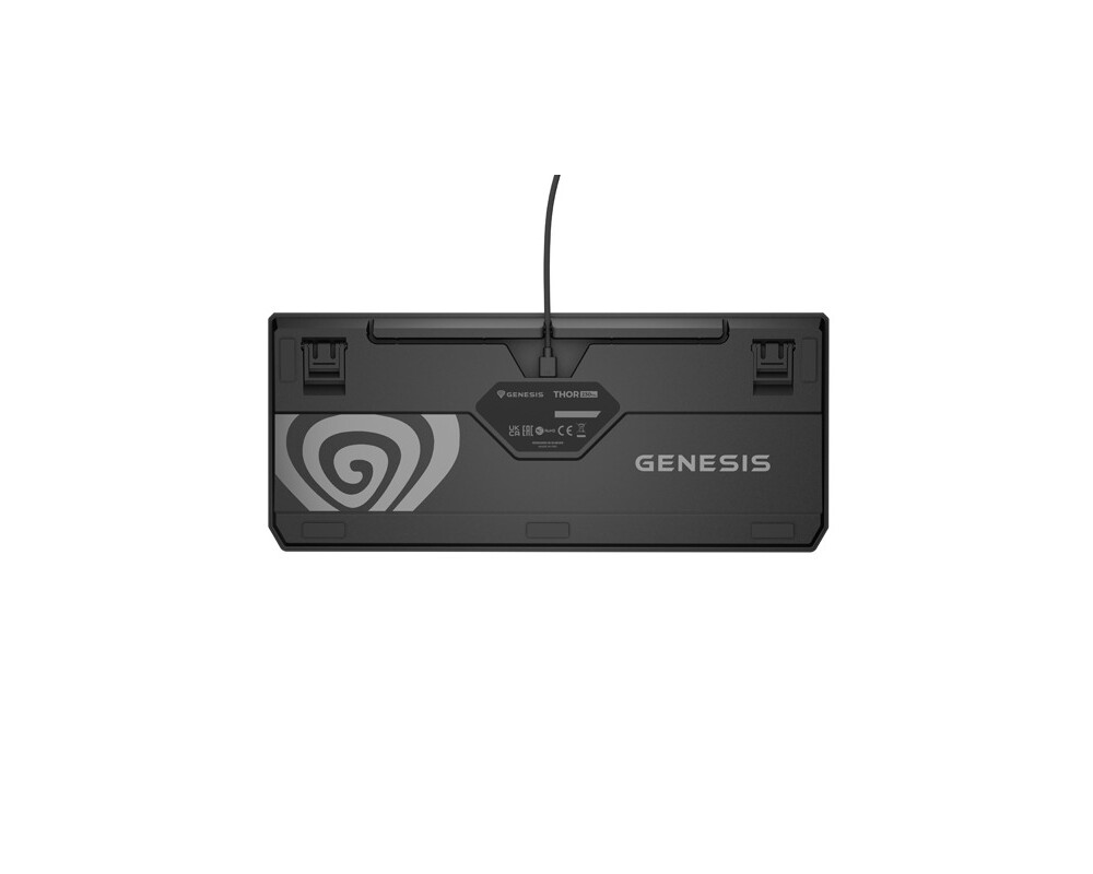 Клавиатура Genesis Gaming Keyboard Thor 230 TKL Anchor Gray Negative US RGB Mechanical Outemu Red 11
