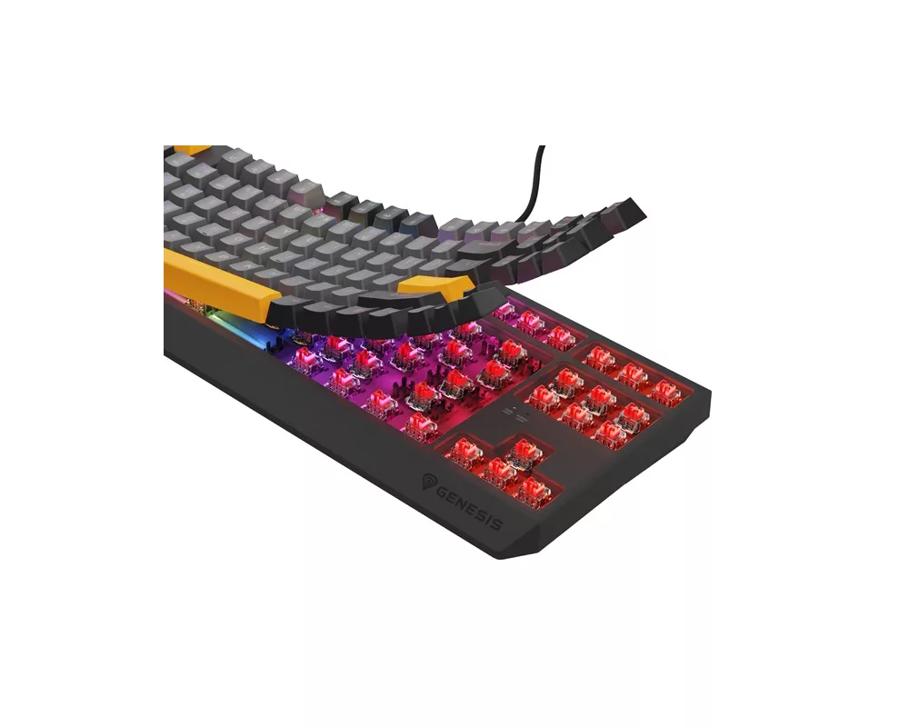 Клавиатура Genesis Gaming Keyboard Thor 230 TKL Anchor Gray Negative US RGB Mechanical Outemu Red 8
