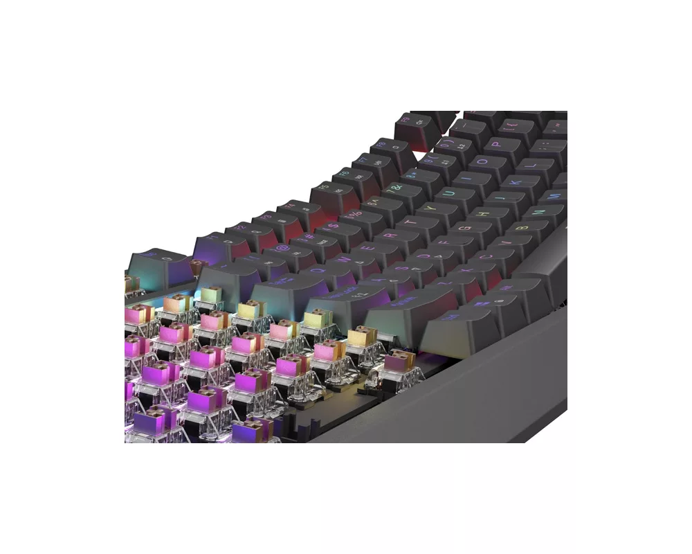 Клавиатура Genesis Gaming Keyboard Thor 230 TKL US RGB Mechanical Outemu Brown Black Hot Swap 6