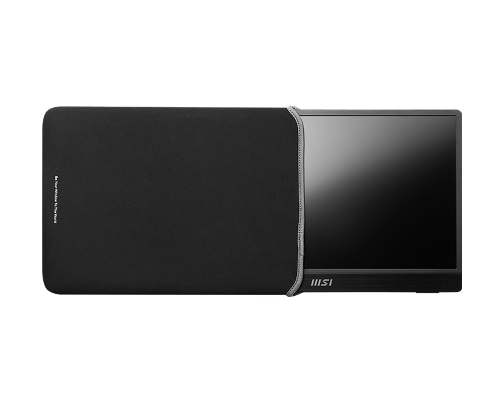 Монитор MSI PRO MP161 E2 10