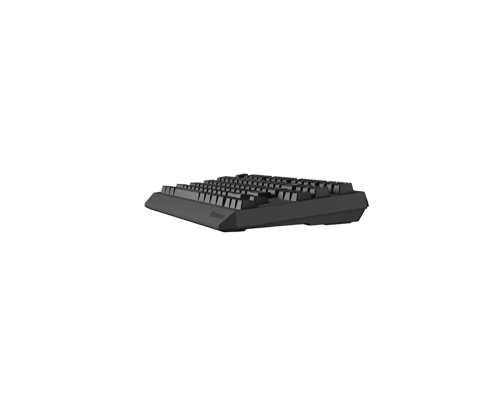 Клавиатура Genesis Gaming Keyboard Thor 230 TKL Wireless US Black RGB Mechanical Outemu Silent Lemon 2