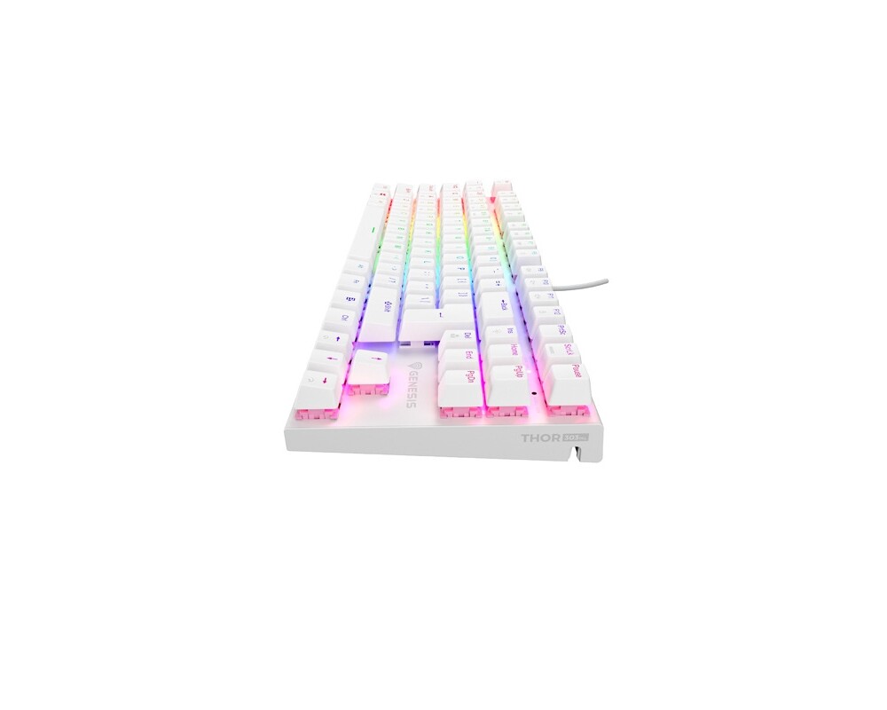 Клавиатура Genesis Mechanical Gaming Keyboard Thor 303 TKL RGB 4