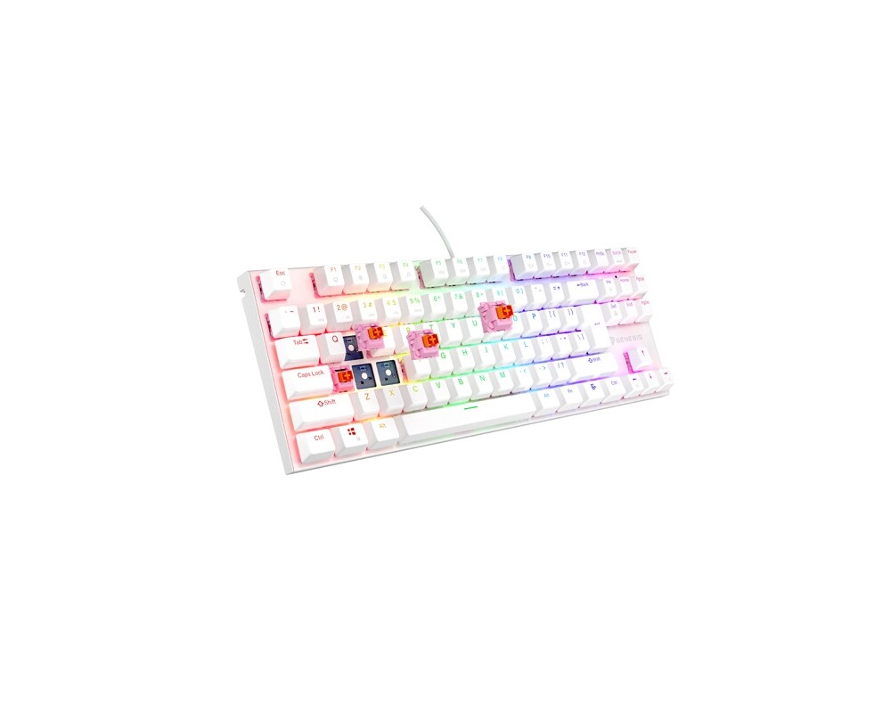 Клавиатура Genesis Mechanical Gaming Keyboard Thor 303 TKL RGB 6