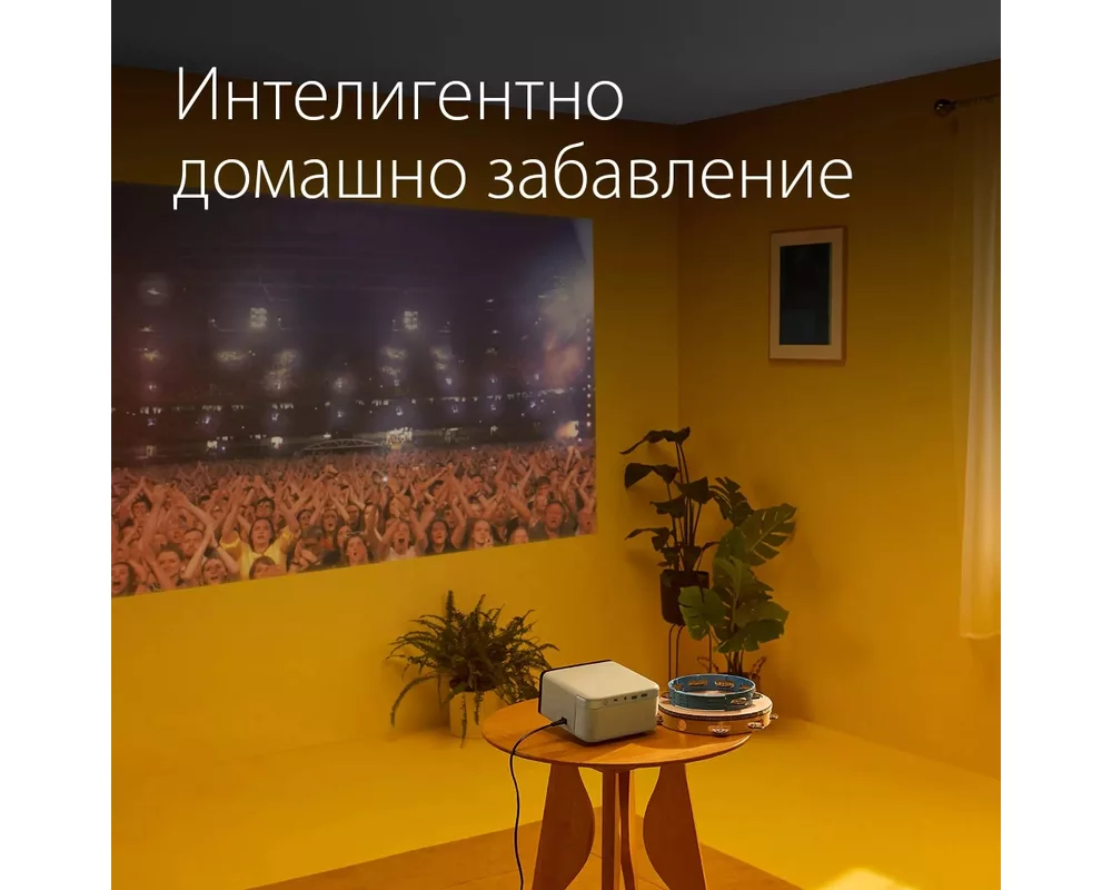 Проектор Epson EF-21G 4