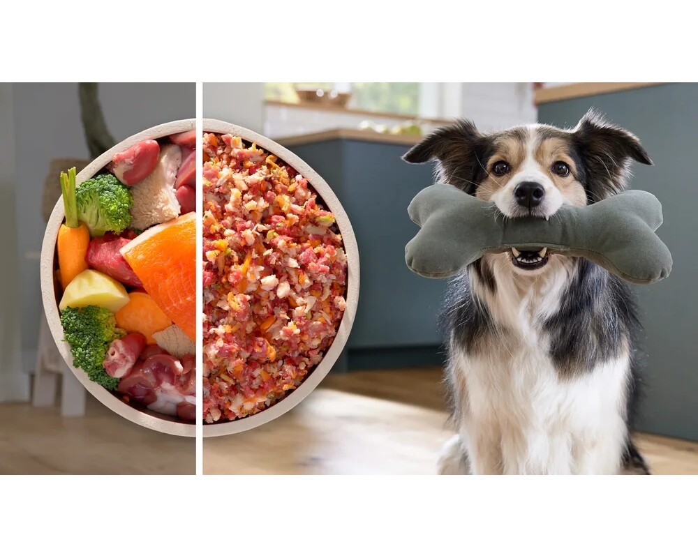 Месомелачка Bosch MFWS660B 14