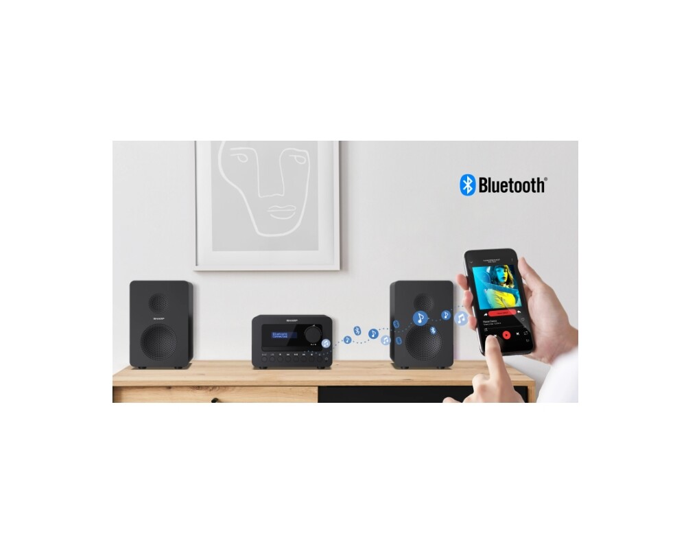 Тонколони Sharp Audio Systems XL-B514(BK) 2