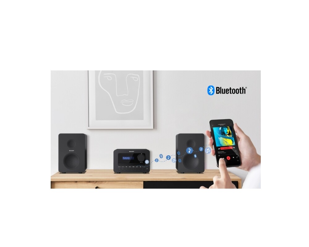 Тонколони Sharp Audio Systems XL-B520D(BK) 2