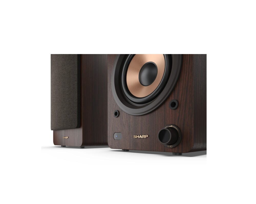 Тонколони Sharp Audio Systems CP-SS30(BR) 9