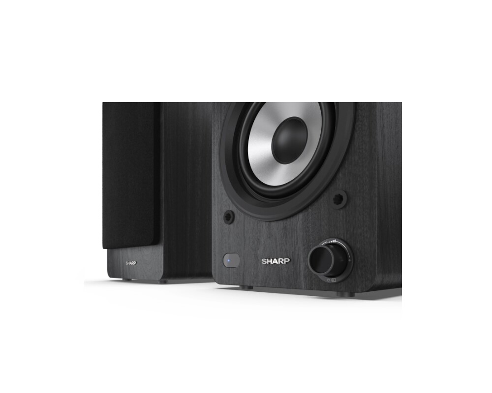 Тонколони Sharp Audio Systems CP-SS30(BK) 9