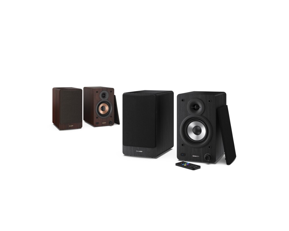 Тонколони Sharp Audio Systems CP-SS30(BK) 10