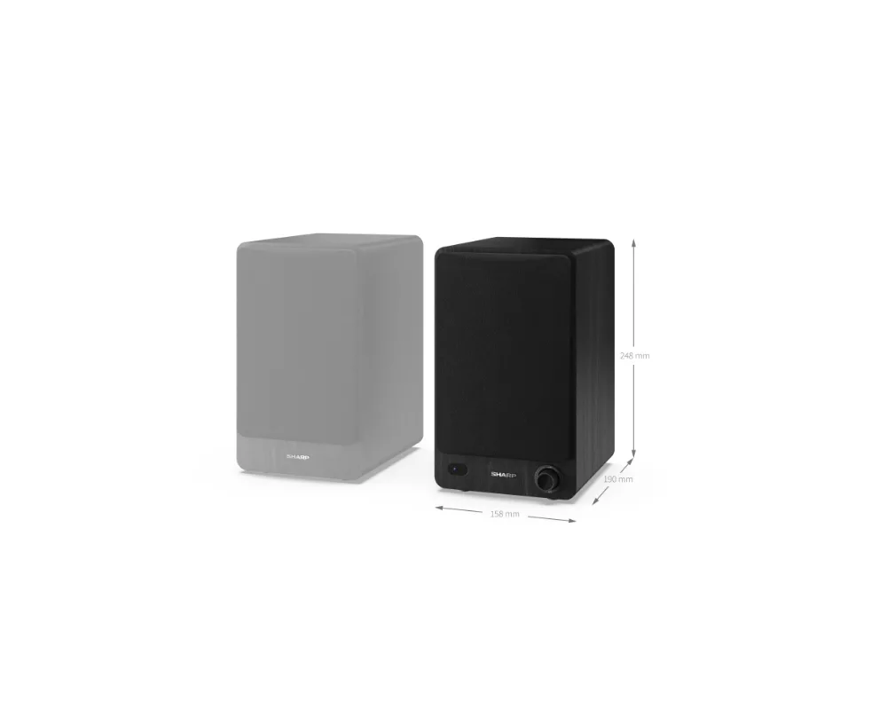 Тонколони Sharp Audio Systems CP-SS30(BK) 11
