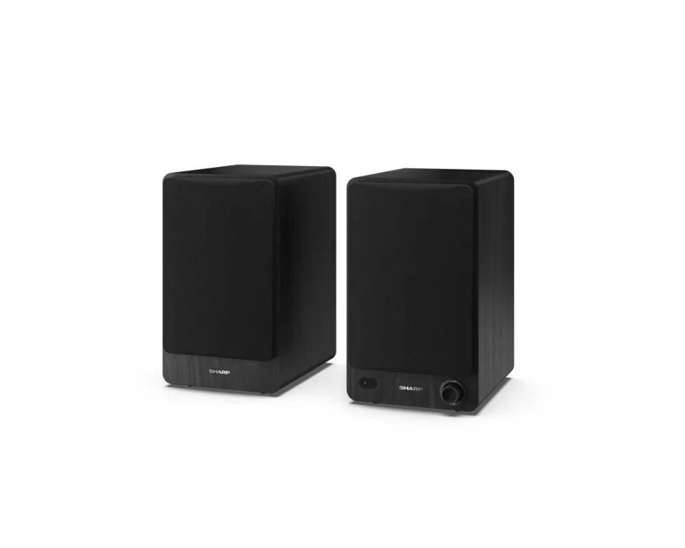Тонколони Sharp Audio Systems CP-SS30(BK) 6