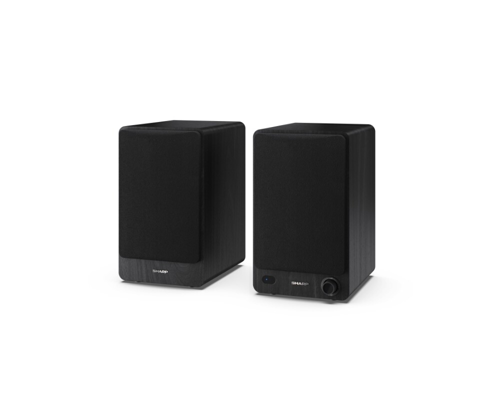 Тонколони Sharp Audio Systems CP-SS30(BK) 6