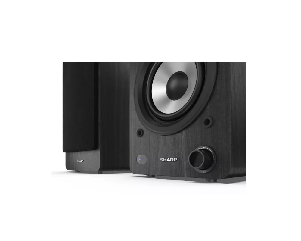 Тонколони Sharp Audio Systems CP-SS30(BK) 9