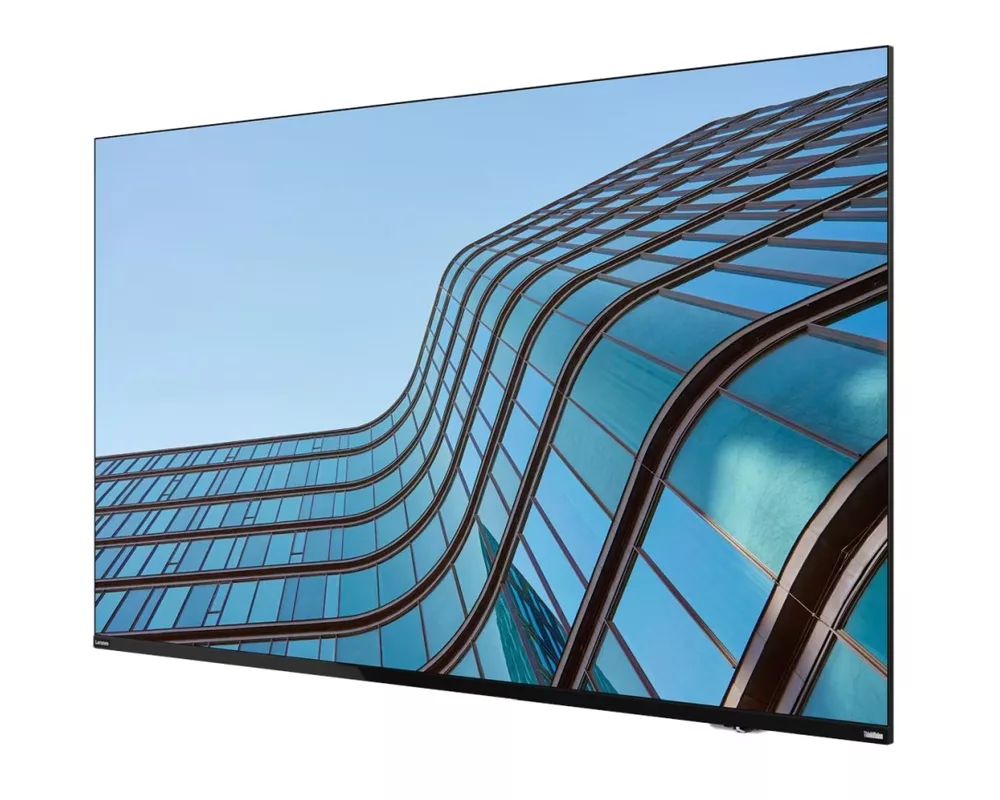 Монитор Lenovo 54.6" ThinkVision E55 LFD 2