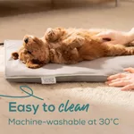 Термоподложка Beurer PP 210 Lilli Small heating mat for dogs and cats; Proven safety; Integrated bite protection on the power cable&protected heating element; Machine-washable cover and waterproof heating element 3