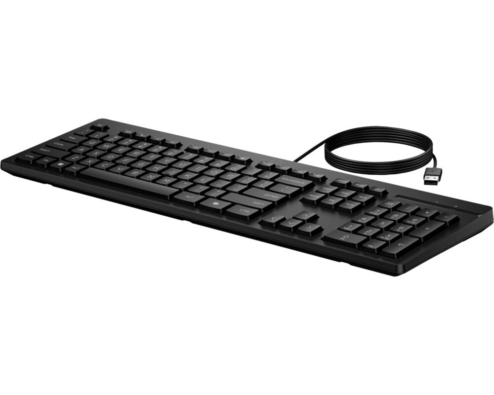 Клавиатура HP 125 G2 USB Wired Keyboard (EU) 13