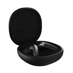 <span>Слушалки</span> HiFuture FlyBuds 4 AI Black <span class='catalog-num-in-name'>6972576182883</span> - 