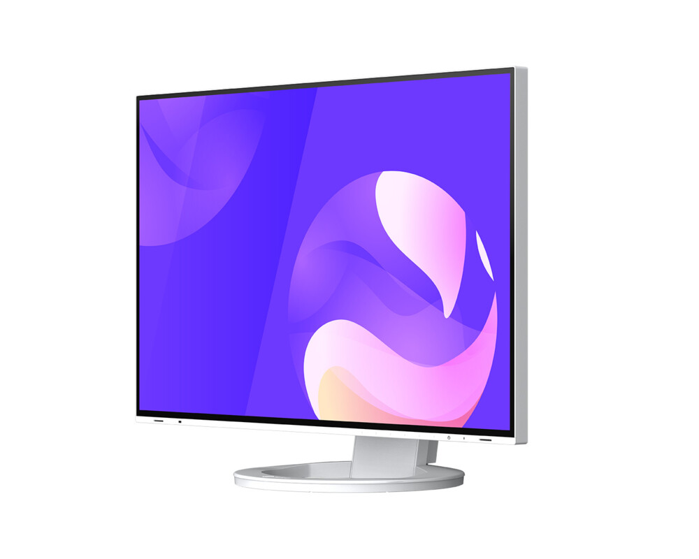 Монитор EIZO EV2495-WT 2