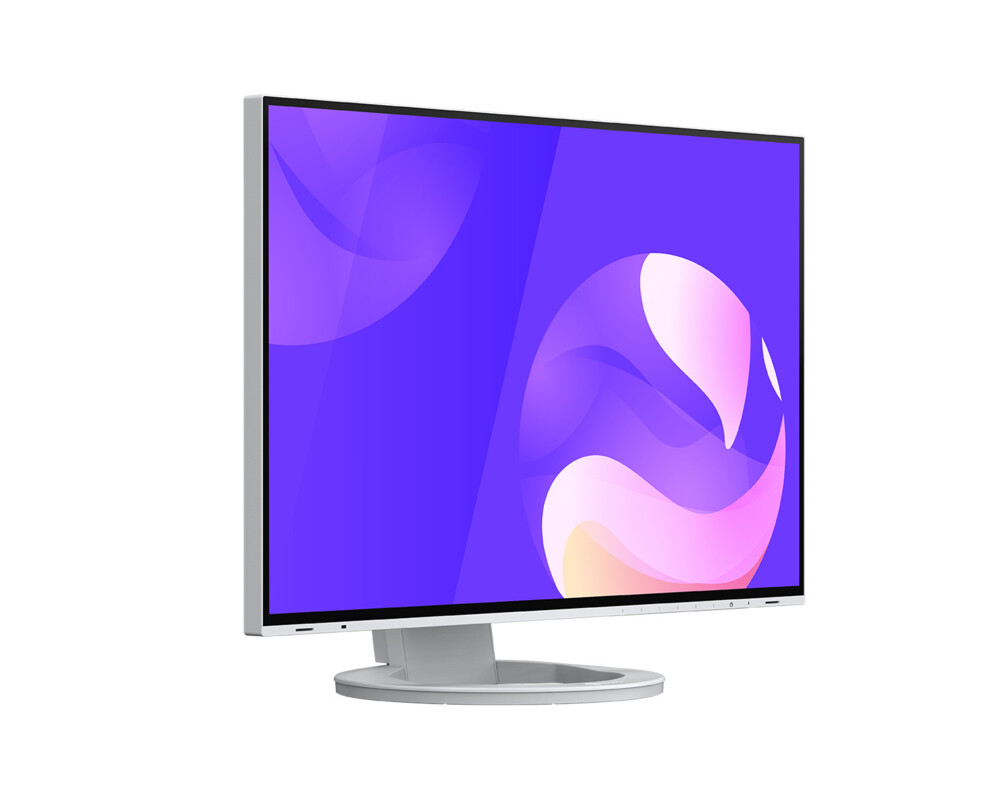 Монитор EIZO EV2495-WT 3