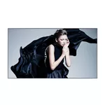 <span>Широкоформатен дисплей</span> за видео стена AG Neovo PN-46D2 <span class='catalog-num-in-name'>PN-46D2</span> - 