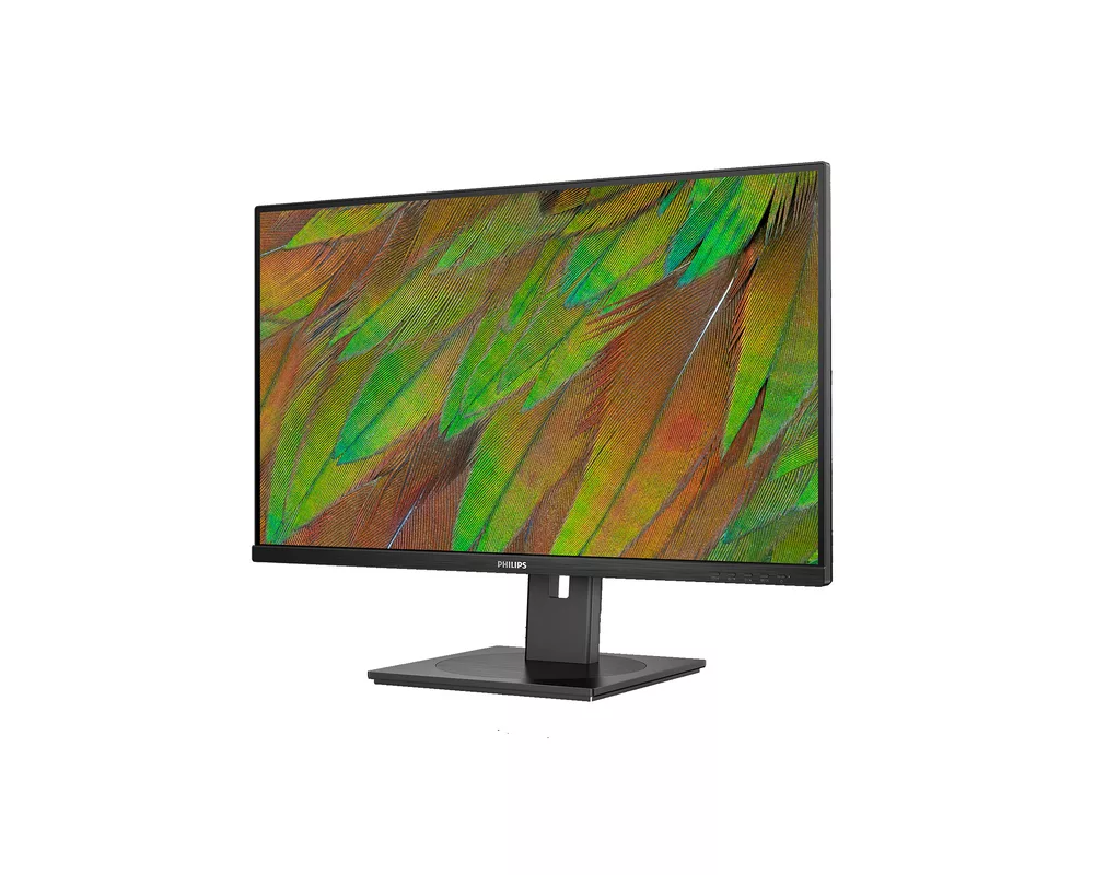 Монитор Philips 31.5" 32B1N3800 4