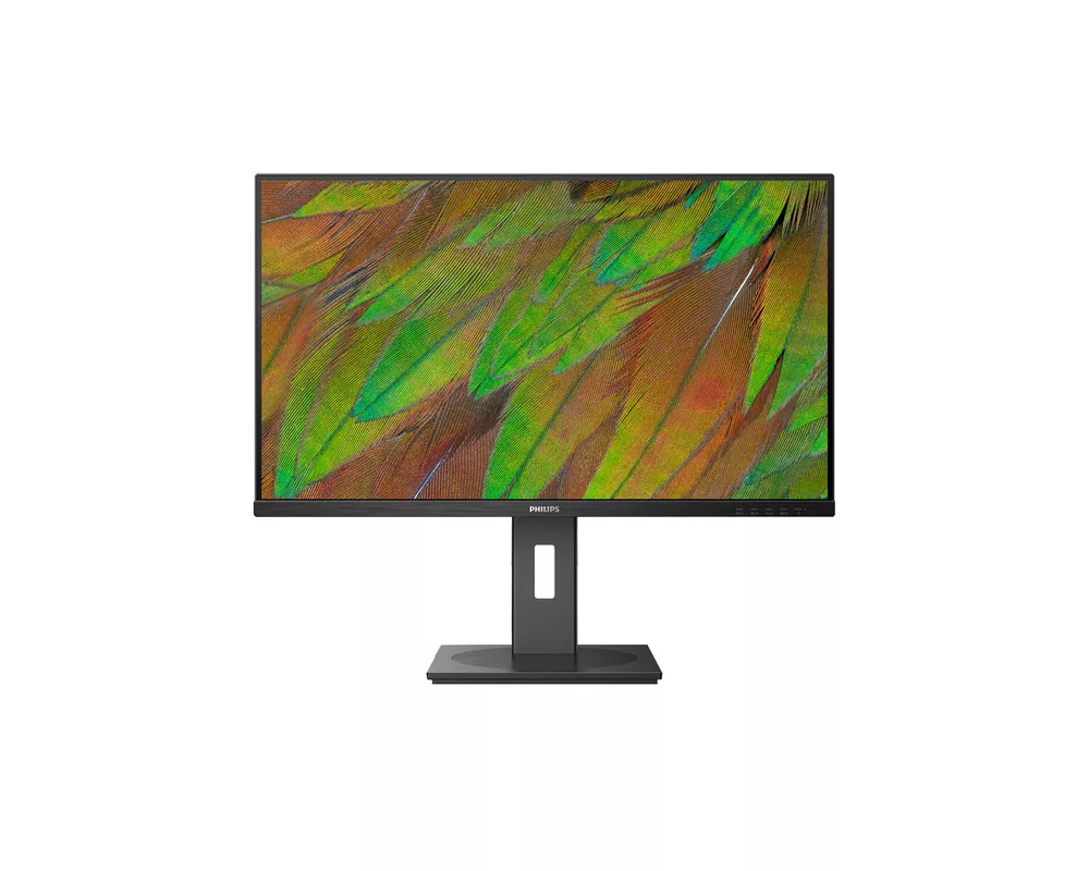 Монитор Philips 31.5" 32B1N3800 2