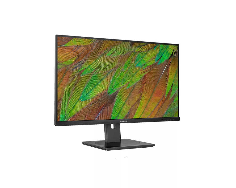Монитор Philips 31.5" 32B1N3800 3