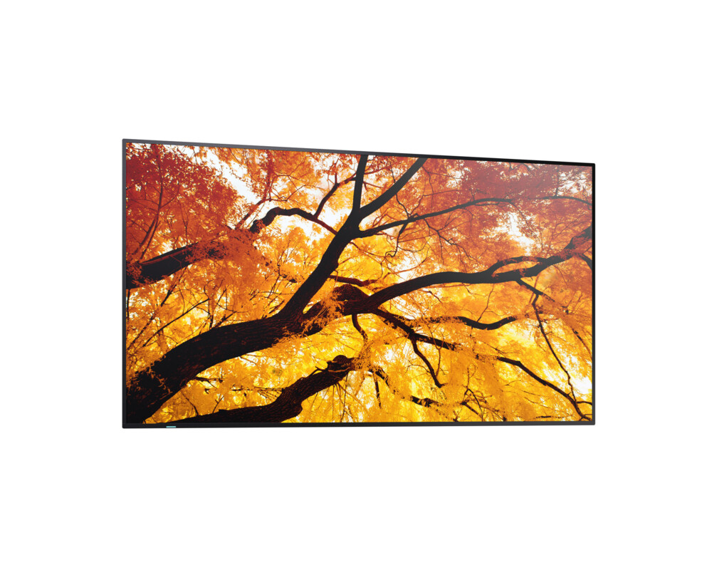 Широкоформатен дисплей SHARP 60006057 M752 5