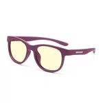 <span>Очила за компютър</span> Детски компютърни очила GUNNAR Rush Kids Small, Amber Natural, Лилав <span class='catalog-num-in-name'>GUN-RUS-09601</span> - 
