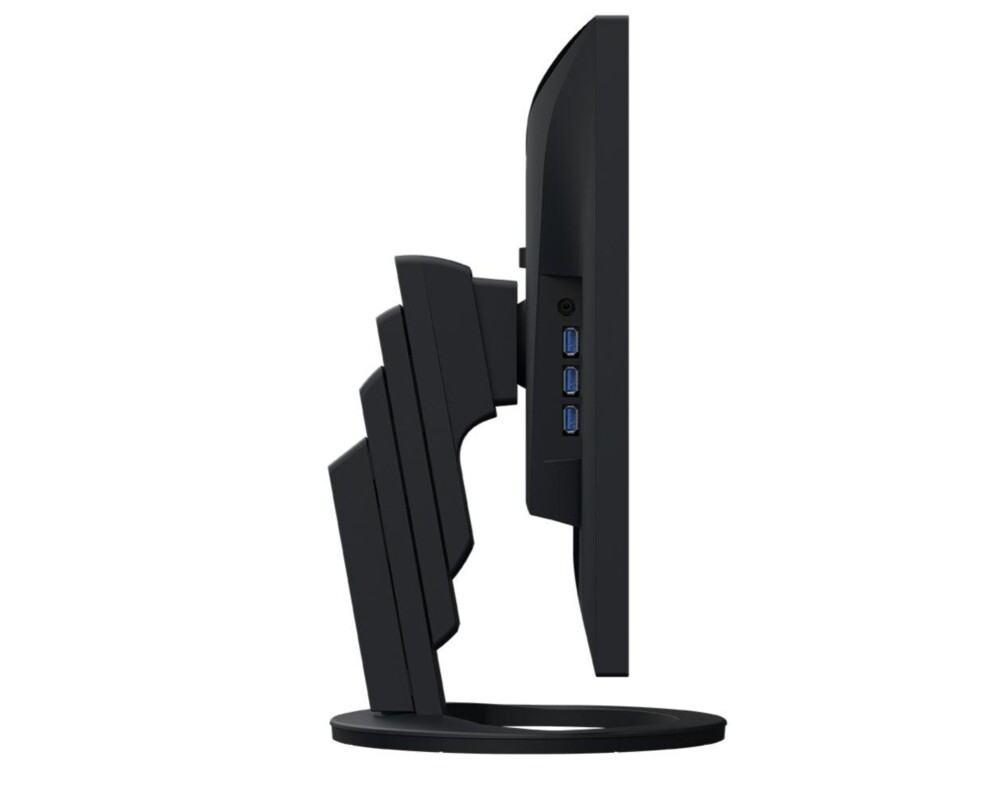 Монитор EIZO EV2485-BK 17