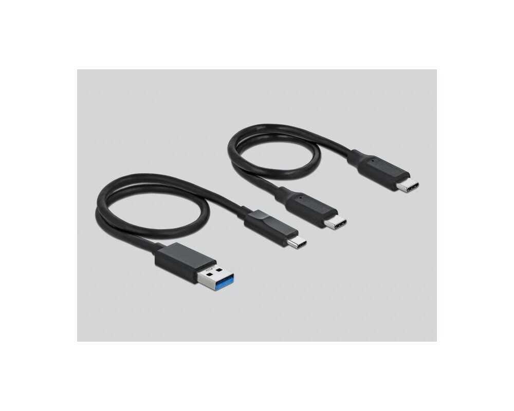 Адаптери Докинг станция Delock, За M.2 NVMe PCIe SSD, USB-C 3.2 Gen 2 3