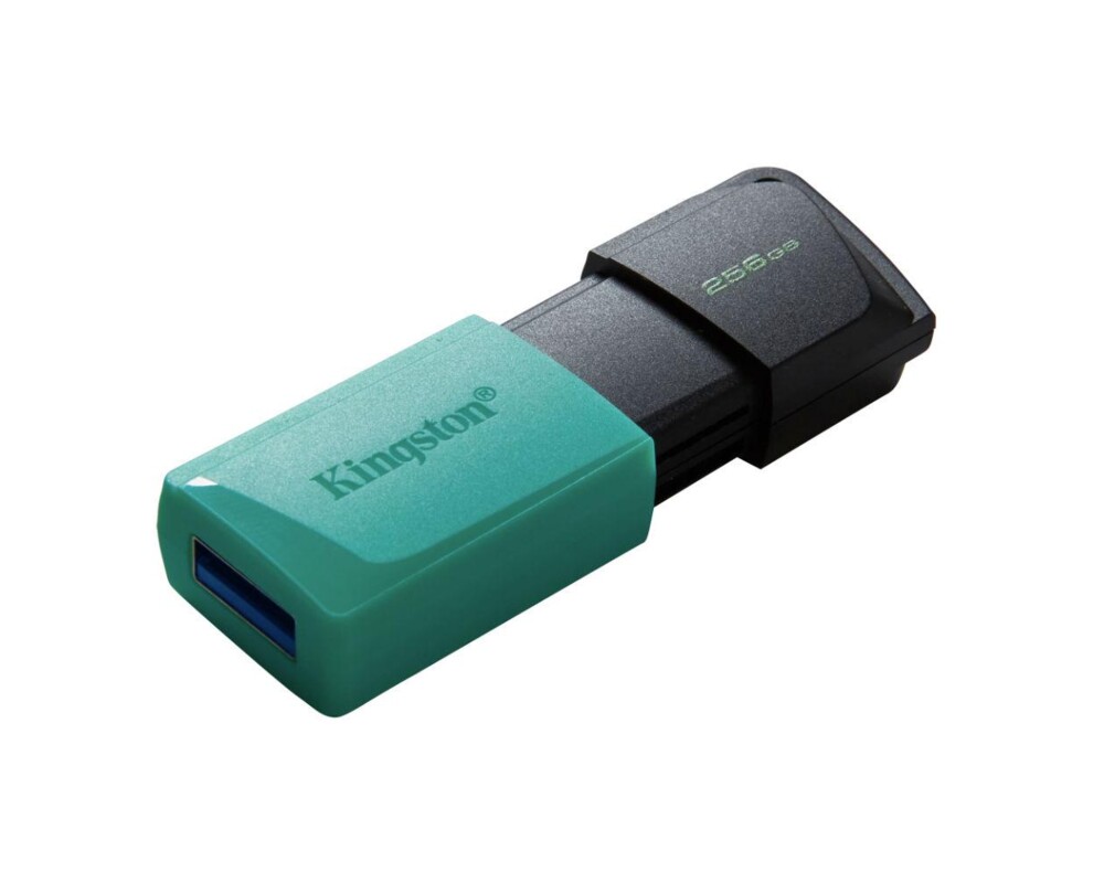 Флаш памет KINGSTON 256GB DataTraveler Exodia M 2