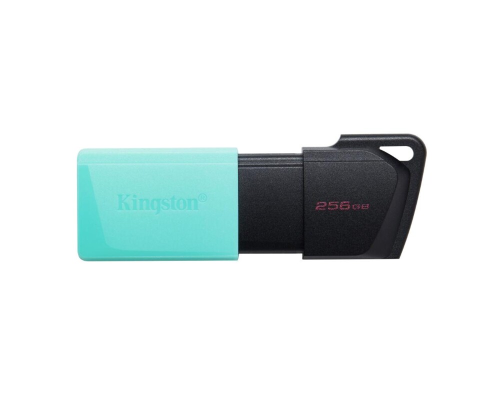 Флаш памет KINGSTON 256GB DataTraveler Exodia M 3