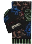 <span>Дреха</span> Комплект шал и шапка DIFUZED Harry Potter, Черен <span class='catalog-num-in-name'>BW-GS802600HPT</span> - 