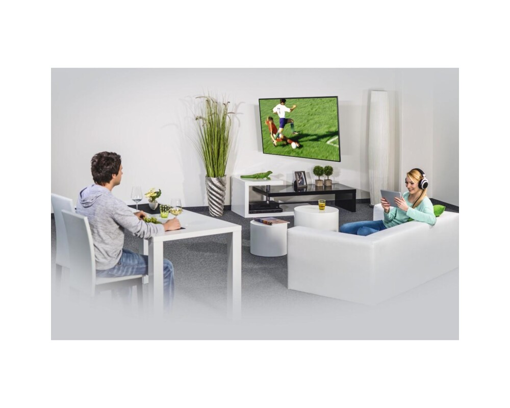 Стойка за TV Hama FULLMOTION, 1 звезда, 200x200, 122 см (48"), 2 рамена 2