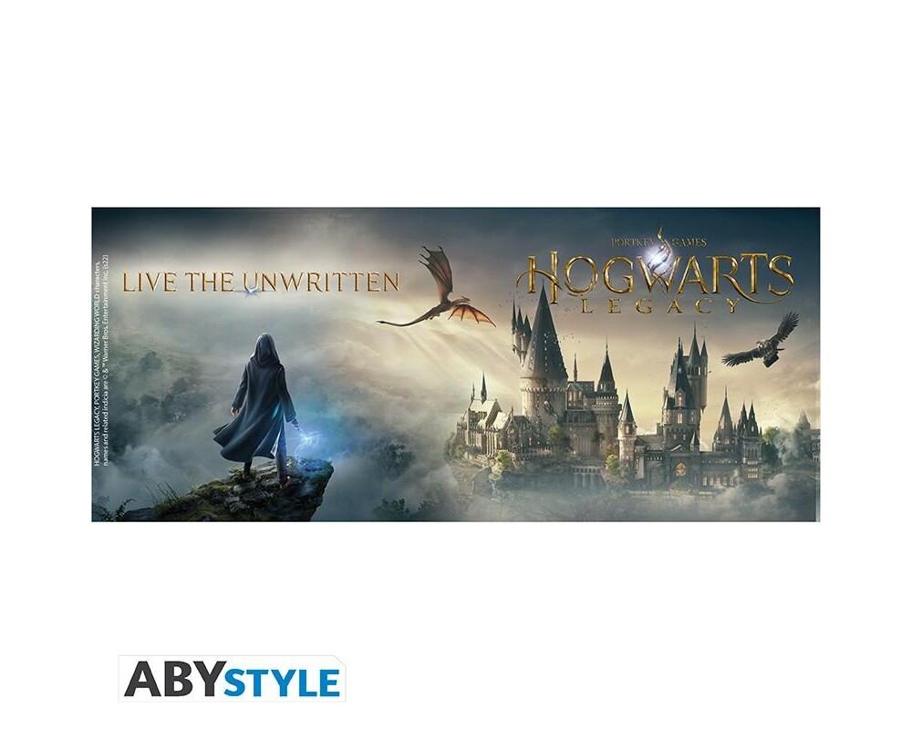 Аксесоар Чаша ABYSTYLE HARRY POTTER, Hogwarts Legacy Castle, 320 ml 2