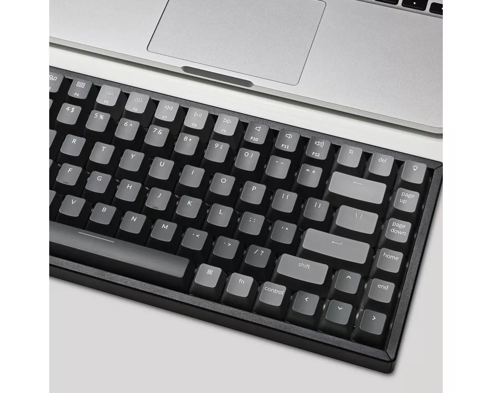 Клавиатура Геймърска Механична клавиатура Keychron K2 Compact Gateron Blue Switch White LED Gateron Blue Switch ABS 4