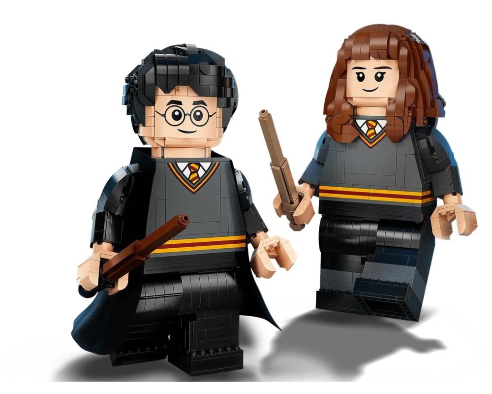 Конструктор LEGO Harry Potter - Harry Potter & Hermione Granger - 76393 2