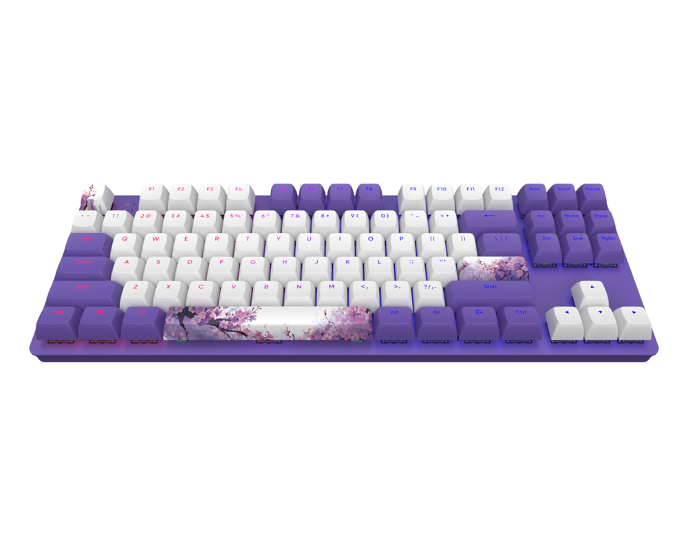 Клавиатура Dark Project 87 Violet Horizons RGB TKL - G3MS Sapphire Switches, ABS 2