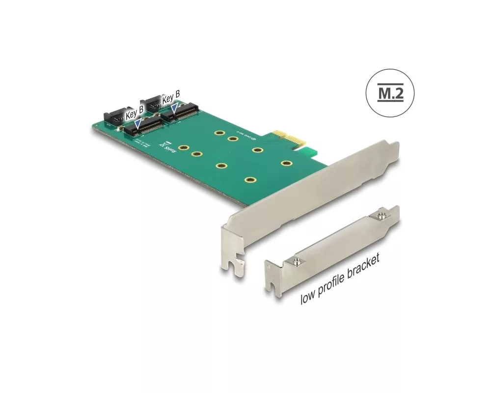 Контролер Карта Delock PCI Express x1 - 2 x internal M.2 Key B 110 mm 2