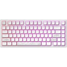  Геймърскa механична клавиатура Dark Project ALU81A Terra Nostra White RGB 789816 FSH-DP-KD-ALU81A-TN-W на топ цена - PIC.bg