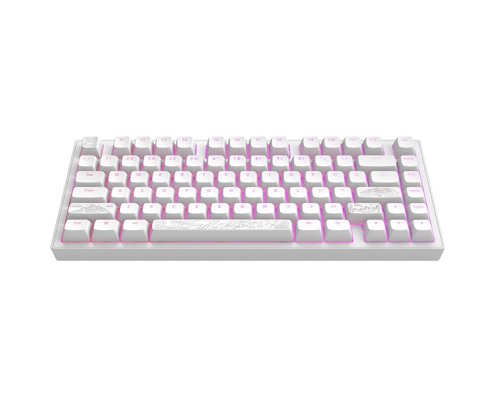 Клавиатура Геймърскa механична клавиатура Dark Project ALU81A Terra Nostra White RGB 2