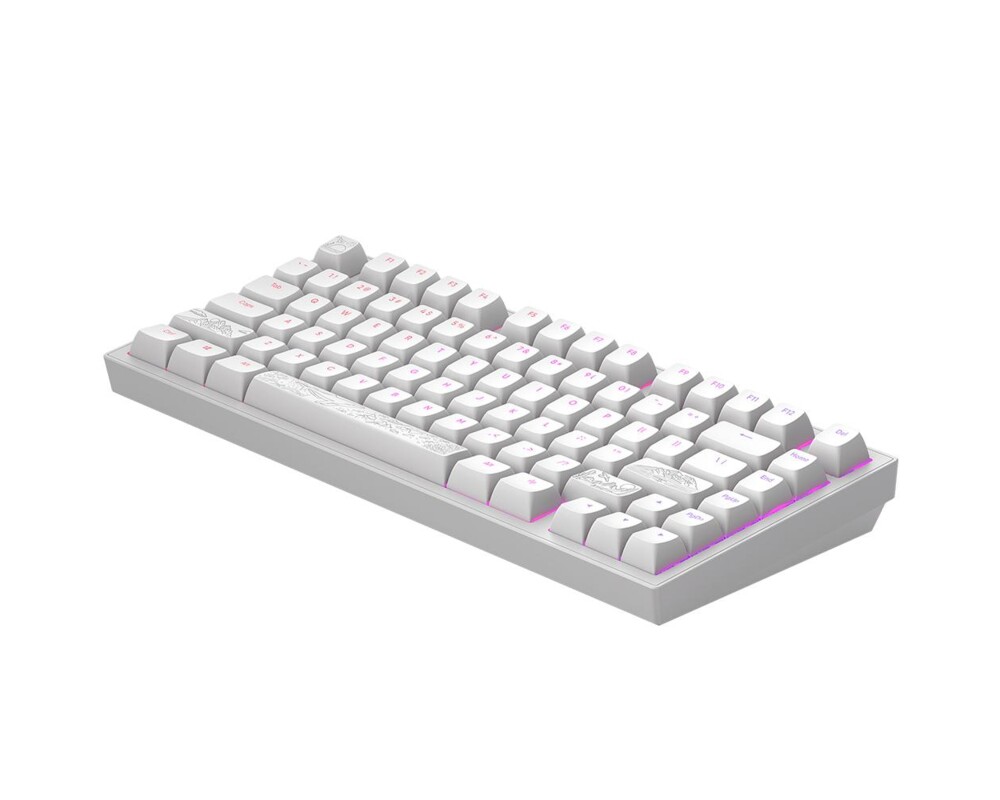 Клавиатура Геймърскa механична клавиатура Dark Project ALU81A Terra Nostra White RGB 3