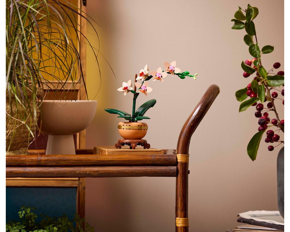 Конструктор LEGO  Botanicals - Mini-Orchidee, 10343 5