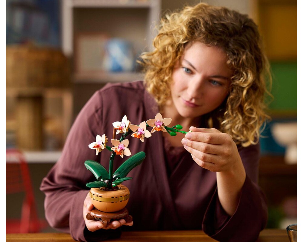 Конструктор LEGO  Botanicals - Mini-Orchidee, 10343 4