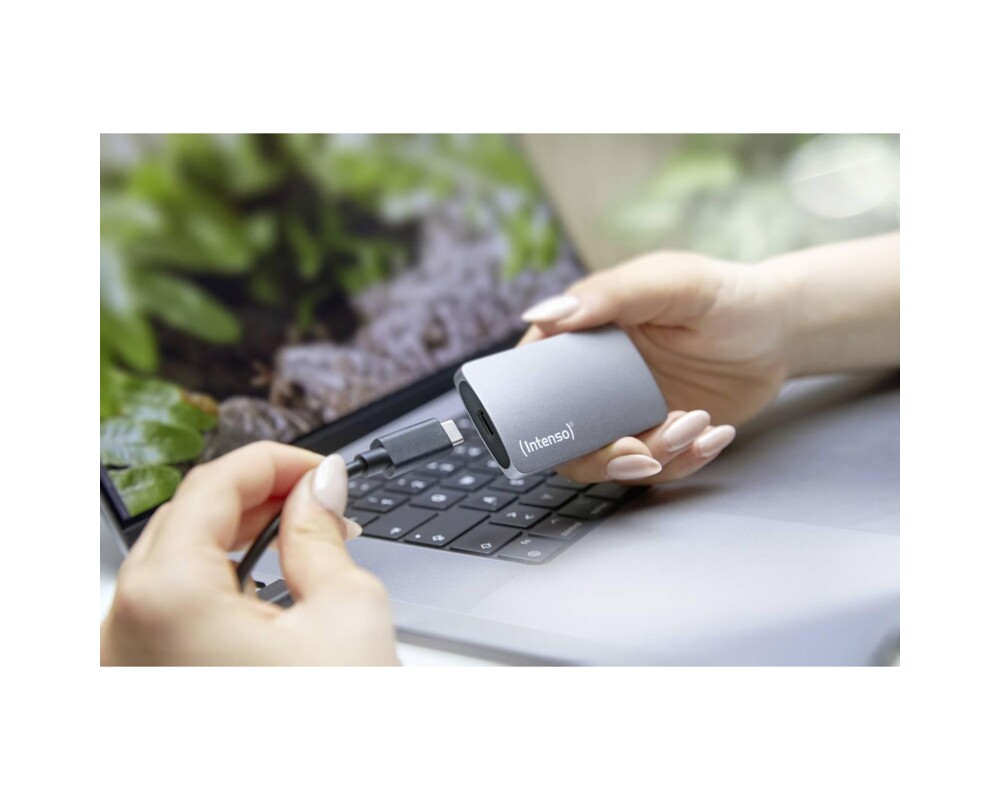 SSD Intenso External SSD TX800 500GB 5