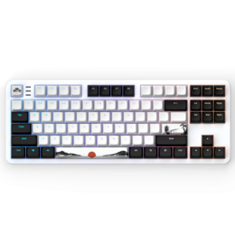  Геймърскa механична клавиатура Dark Project 87 Fuji V2 RGB TKL - G3MS Sapphire Switches, ABS 859254 FSH-DPO-KD-87A-FUJI-II на топ цена - PIC.bg